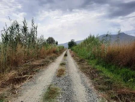 Ortaca Eskiköyde Satılık Verimli Arazi