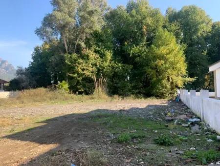 Köyceğiz Yangıda 500 M2 Kelepir Arsa Satılık