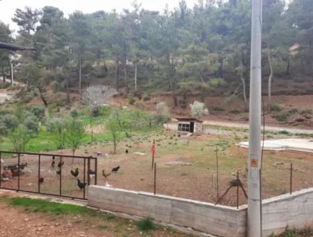 Köyceğiz Ağla Yaylada Fırsat Kelepir 1050 M2 İmarlı Arsa Satılık