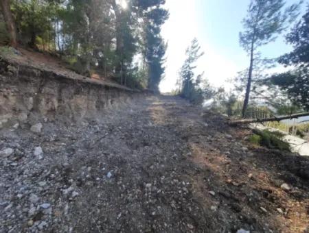 Çameli Gökçeyakada Satılık Kelepir 1400 M2 Müstakil Arazi