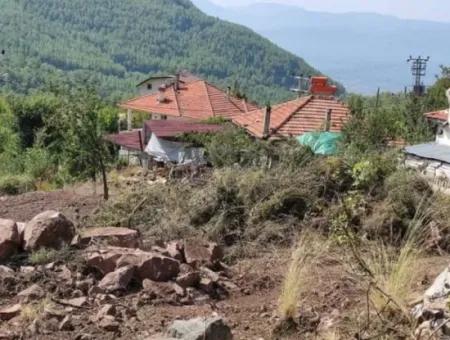 Muğla Köyceğiz Yayla Mah 560 M2 Arsa Satılık