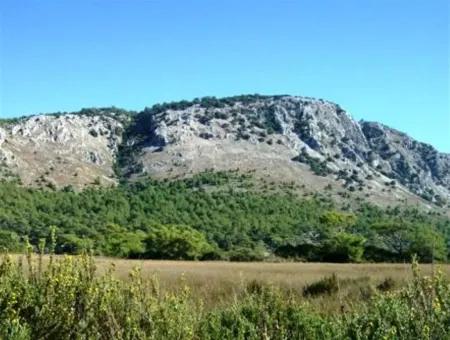 Muğla Dalaman İncebelde Satılık Deniz Ve Göl Manzaralı Arsa